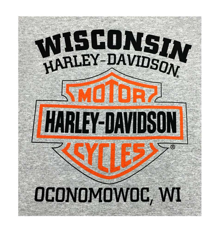 Harley-Davidson® Men's Bar & Shield Logo Pullover Hooded Sweatshirt, Gray