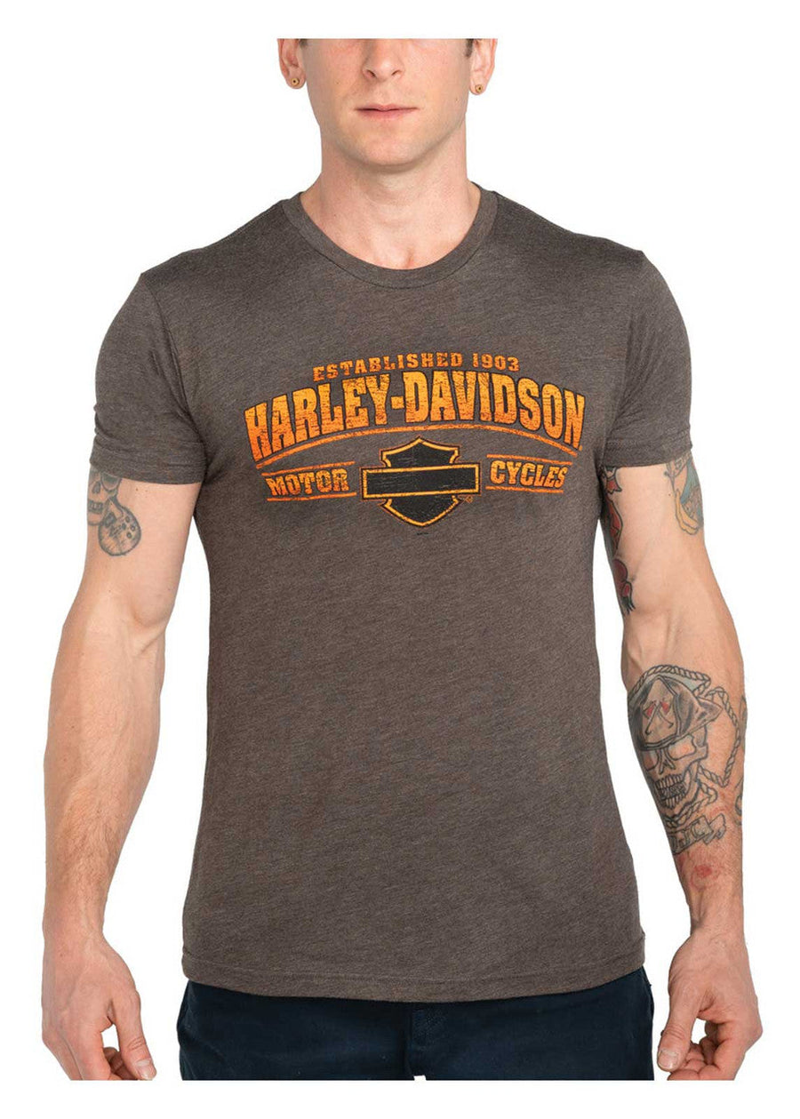 Harley-Davidson® Men's Dusty Tones Short Sleeve Crew-Neck T-Shirt - Brown