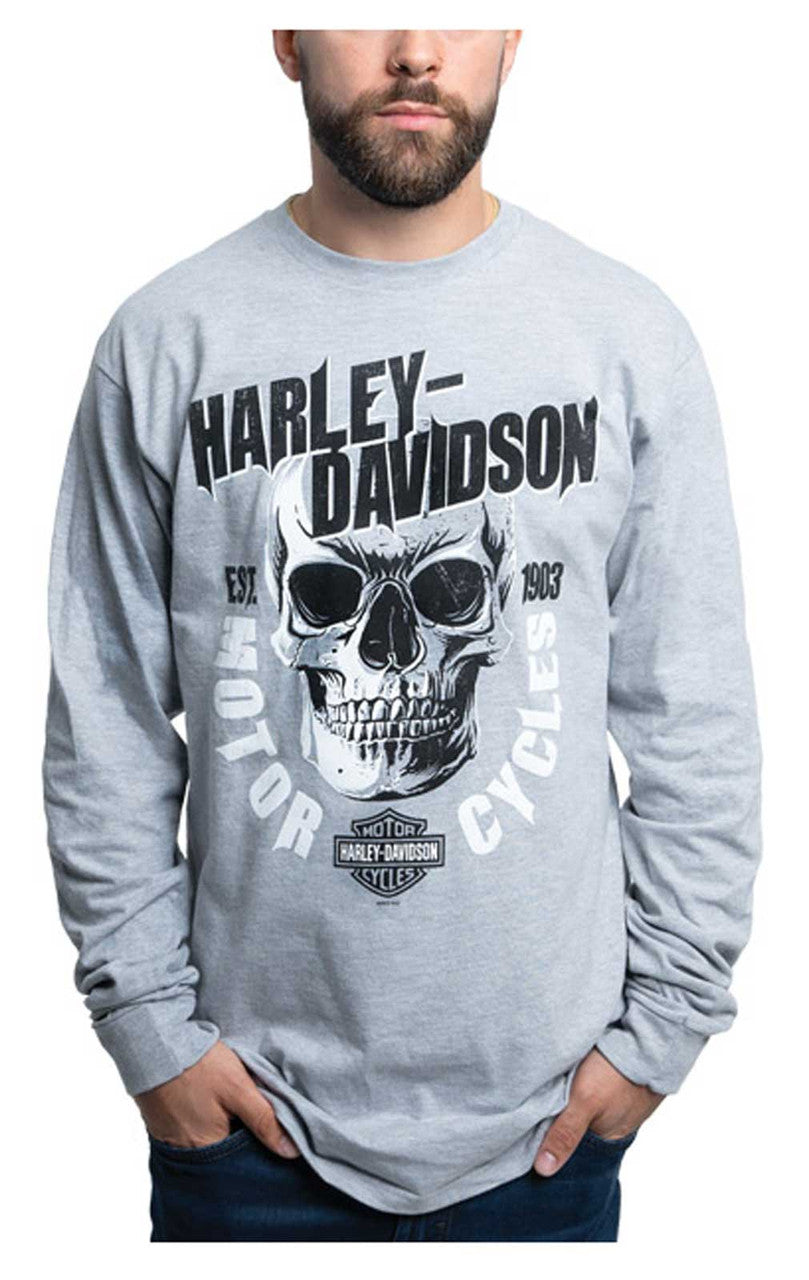 Harley-Davidson® Men's Petrified Long Sleeve Crew-Neck Shirt - Heather Gray