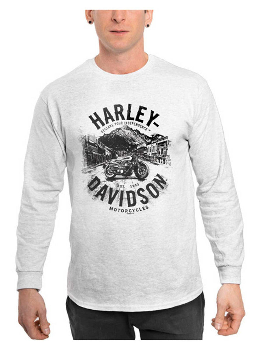 Harley-Davidson® Men's Distressed Town Long Sleeve Crew-Neck Shirt - Gray