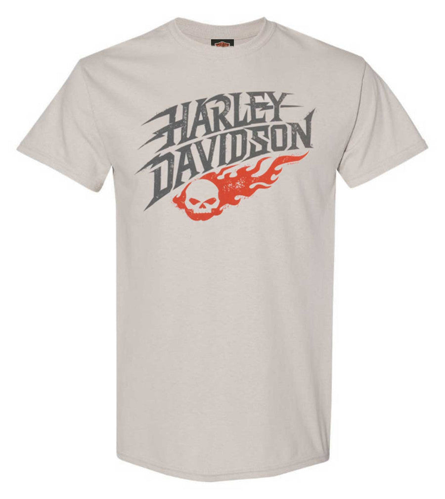 Harley-Davidson Men's Thunder Roll Short Sleeve Crew-neck T-Shirt, Cement Gray