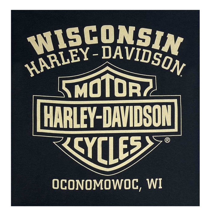 Harley-Davidson® Men's Rebel #1 RWB Logo Pullover Fleece Sweatshirt, Black