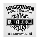 Harley-Davidson® Men's Distressed Freedom Fighter Long Sleeve Shirt, White
