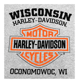Harley-Davidson® Men's T-Shirt, Long Sleeve Tee, Heritage H-D Gray 30296638